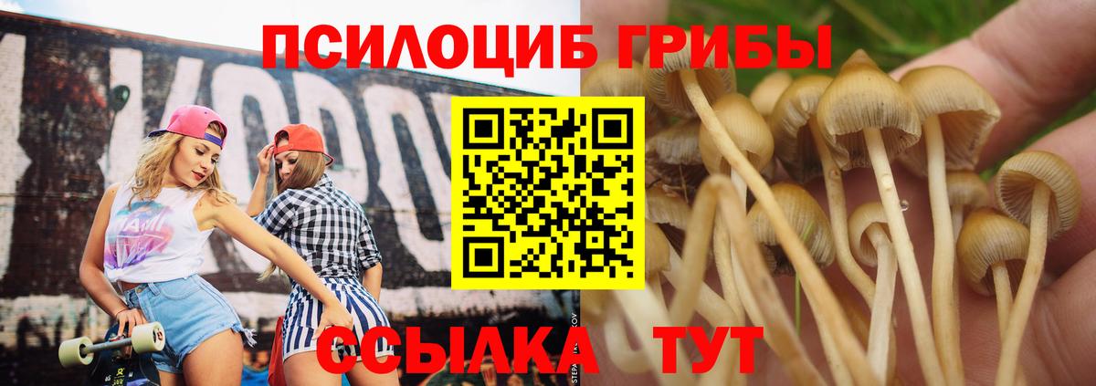 Псилоцибиновые грибы прущие грибы  Вход с VPN  Тулун 